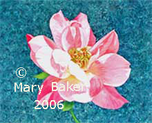 Pink_Rose-copyright.jpg