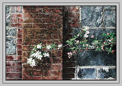 apple-blossoms_frame