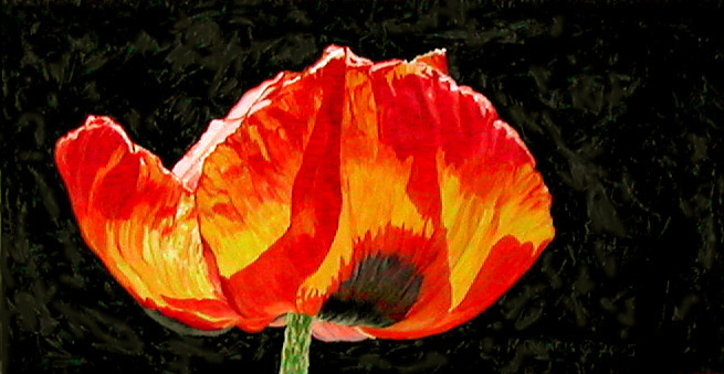 'Poppy' ©