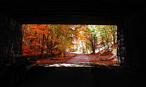 The Rail Trail from underneath the High Street over pass.