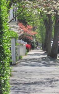 Spring in Newburyport's South End