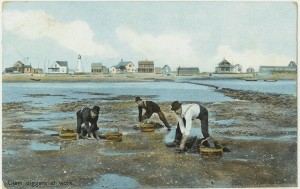 Newburyport Postcard, Clam Diggers at Work