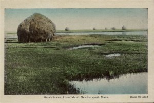 Newburyport postcard, Plum Island Haystack, press image to enlarge.